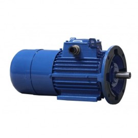 Motor electric cu frana 80B-4 0.75 kW 1500 rpm